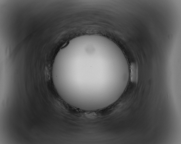 X0000086341491200704131732