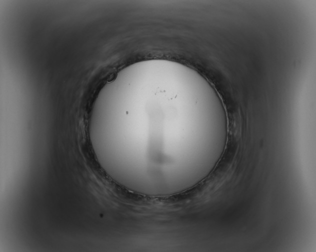 X0000086341493200704131732