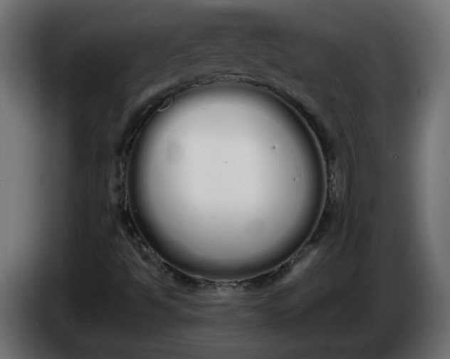 X0000086341494200704131732