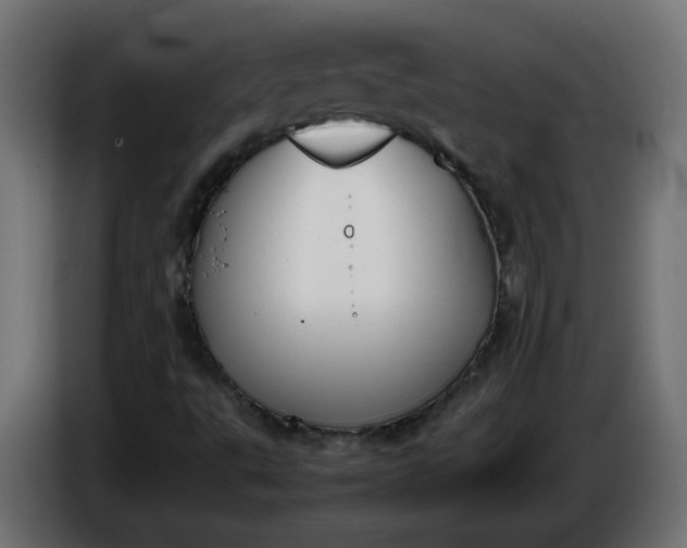 X0000086341495200704131732