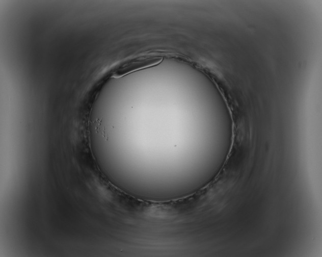 X0000086341496200704131732