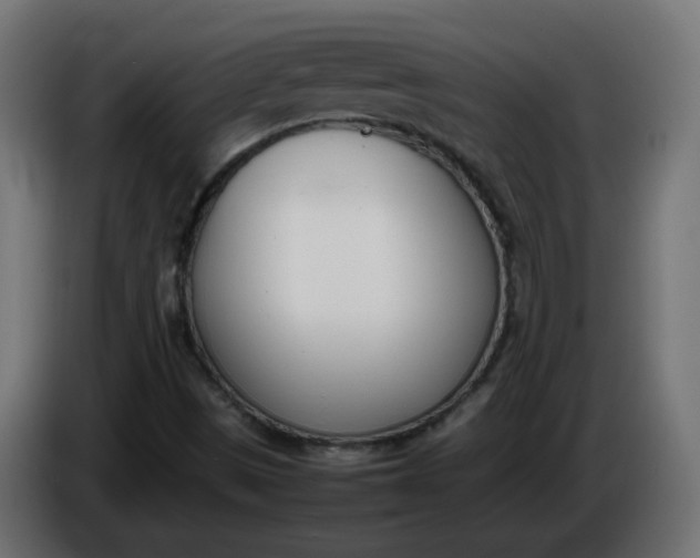 X0000086341497200704131732