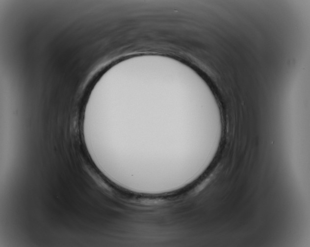 X0000086341498200704131732