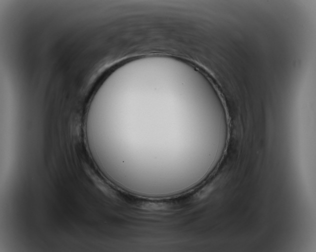 X0000086341499200704131732