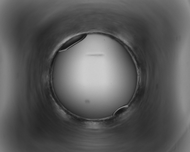 X0000086341500200704131732