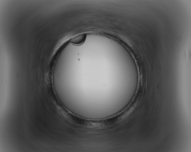 X0000086341501200704131732