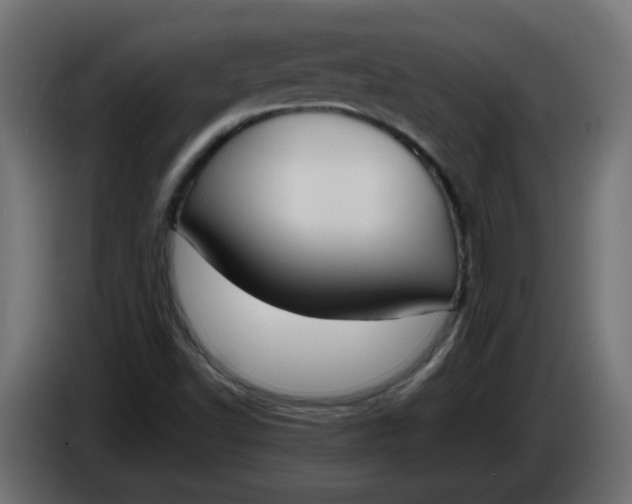 X0000086341502200704131732