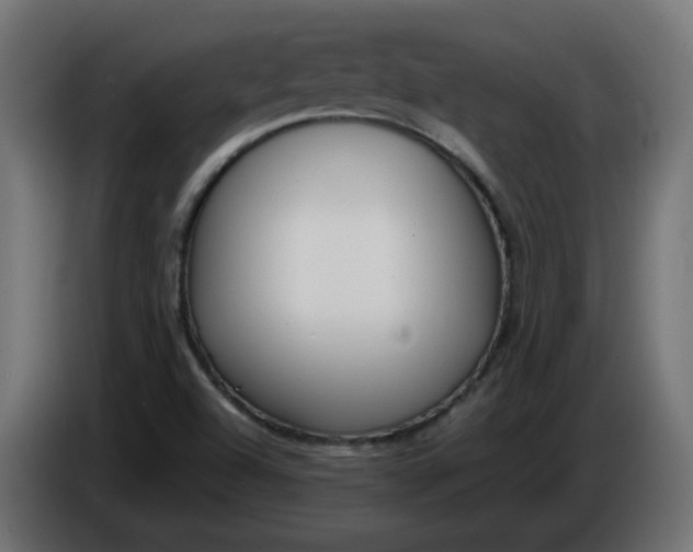 X0000086341504200704131732