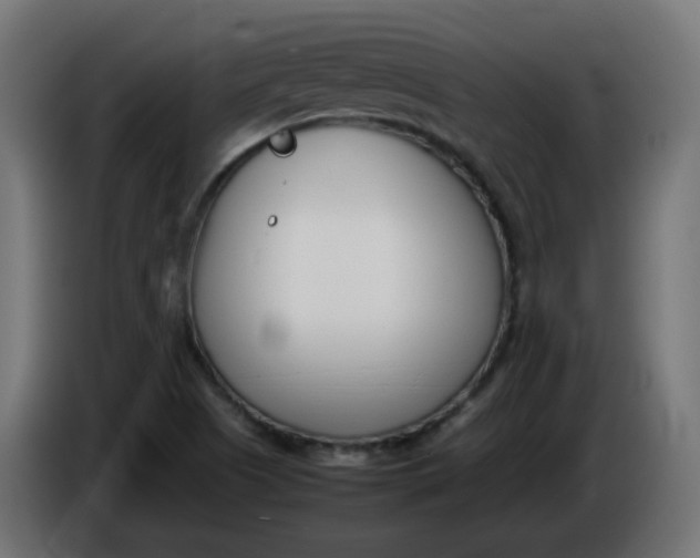 X0000086341505200704131732
