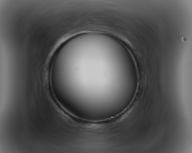 X0000086341506200704131732