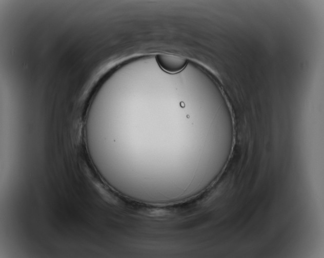 X0000086341507200704131732
