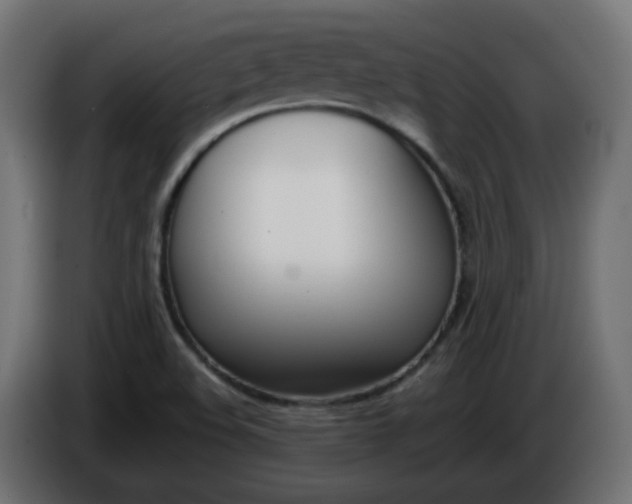X0000086341508200704131732