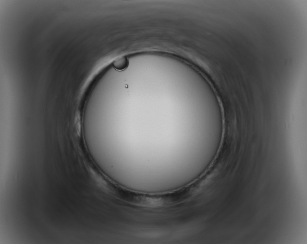 X0000086341509200704131732