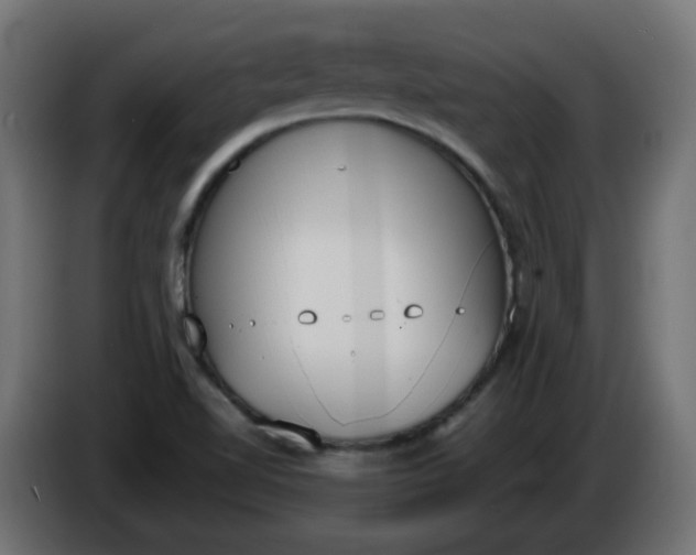 X0000086341510200704131732