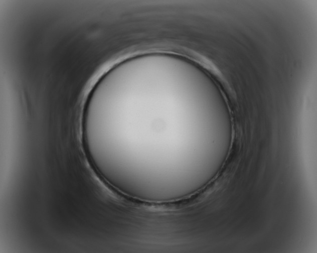 X0000086341512200704131732
