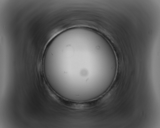 X0000086341513200704131732