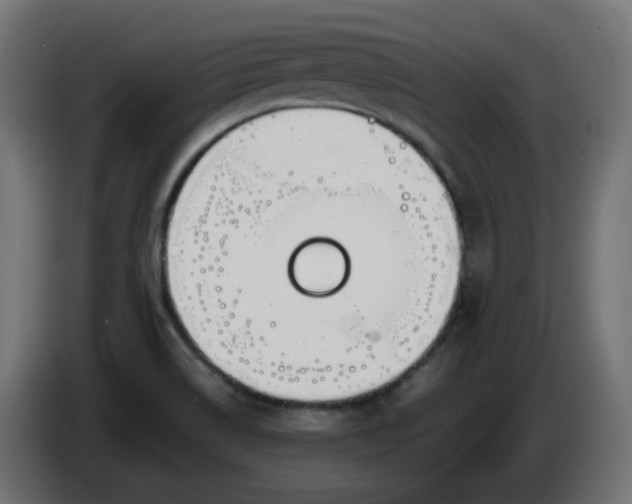 X0000086341514200704131732