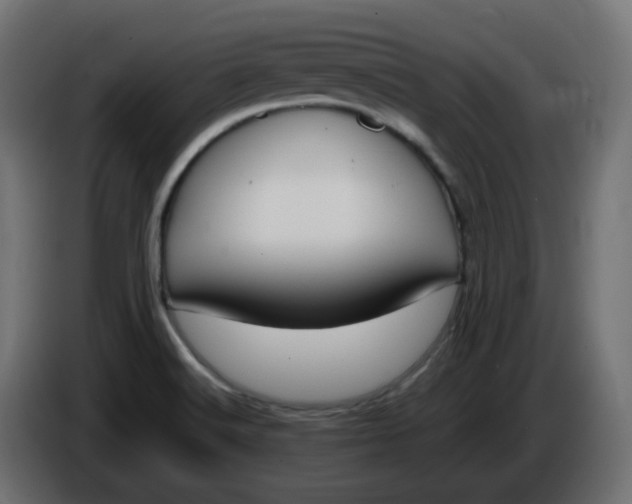 X0000086341516200704131732