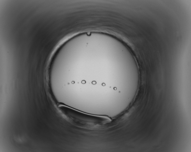 X0000086341517200704131732