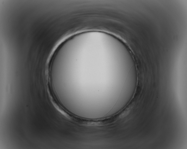 X0000086341519200704131732