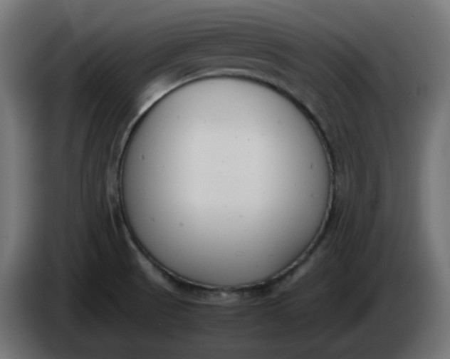 X0000086341521200704131732