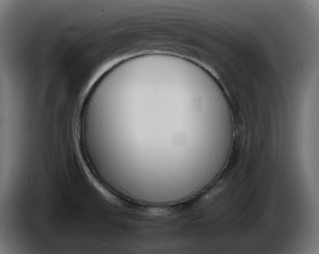 X0000086341523200704131732