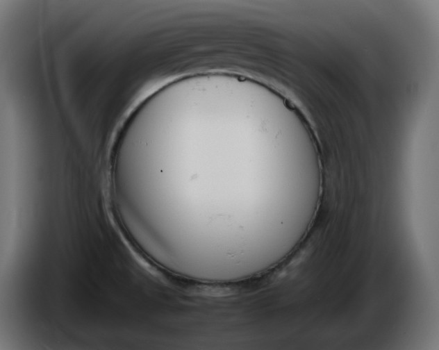 X0000086341525200704131732