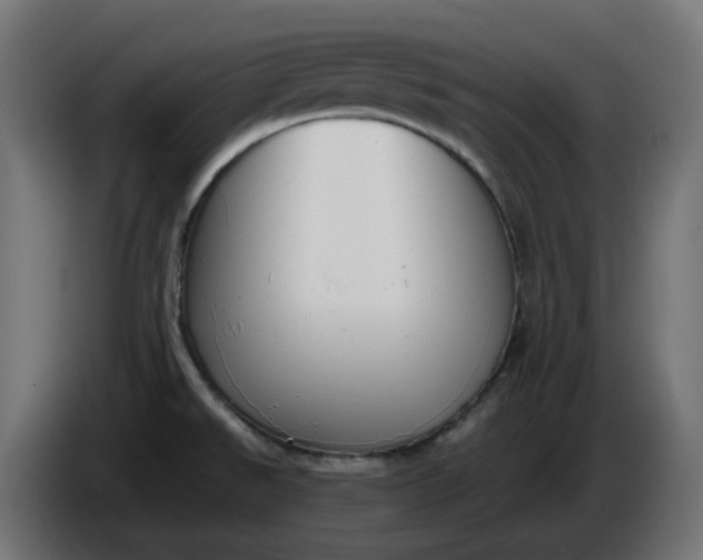 X0000086341526200704131732