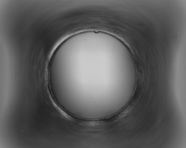 X0000086341527200704131732
