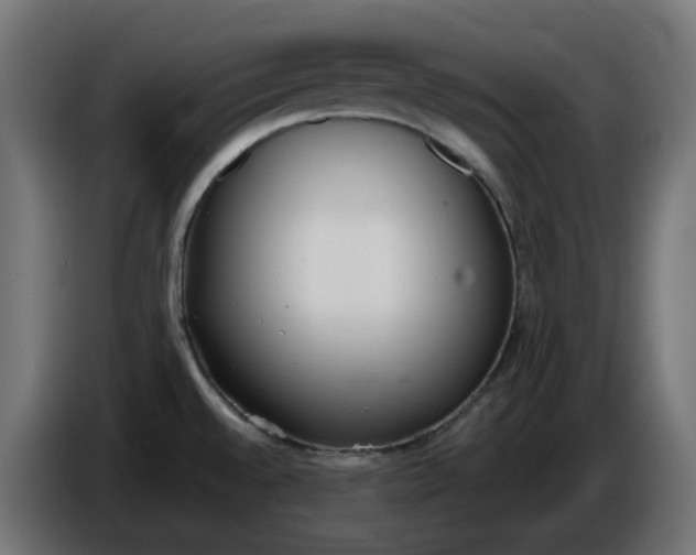 X0000086341528200704131732