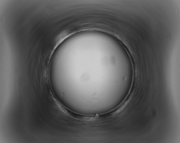 X0000086341529200704131732