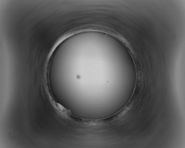 X0000086341530200704131732
