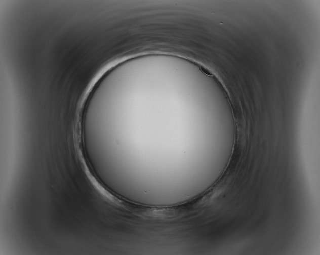 X0000086341531200704131732