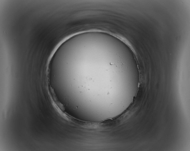X0000086341532200704131732