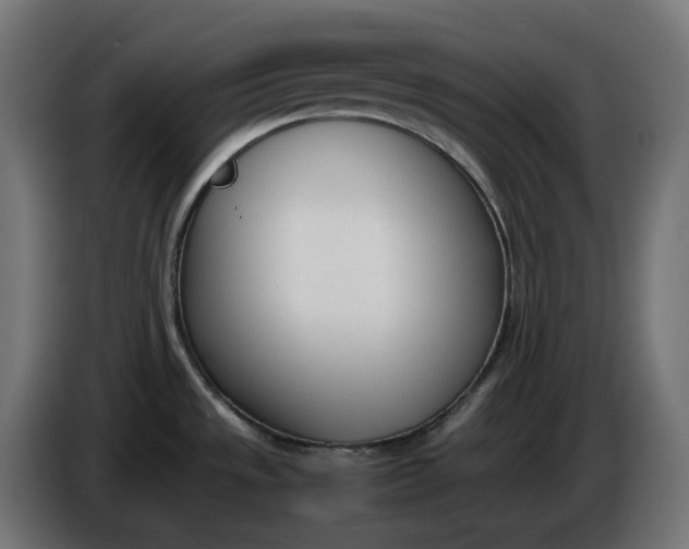 X0000086341533200704131732