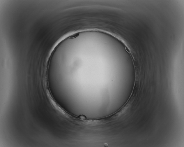 X0000086341534200704131732