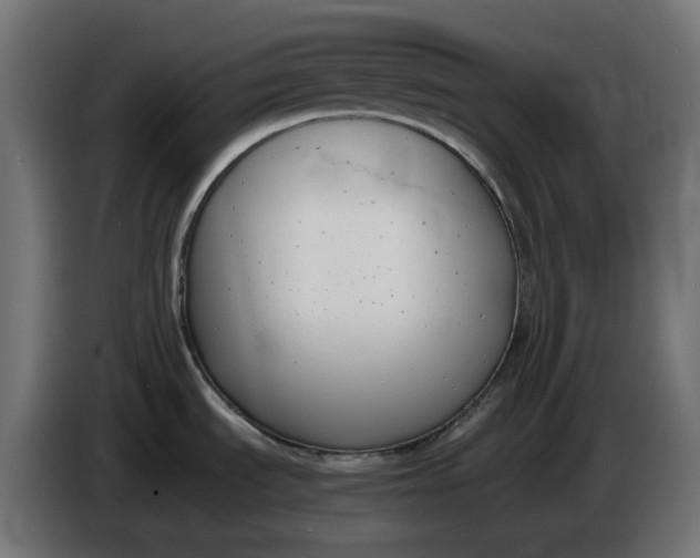 X0000086341535200704131732