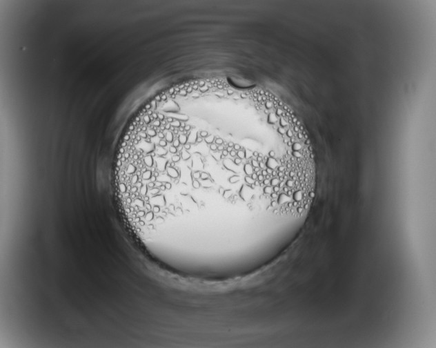 X0000086340002200704202110