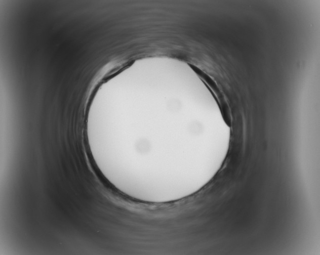 X0000086340003200704202110