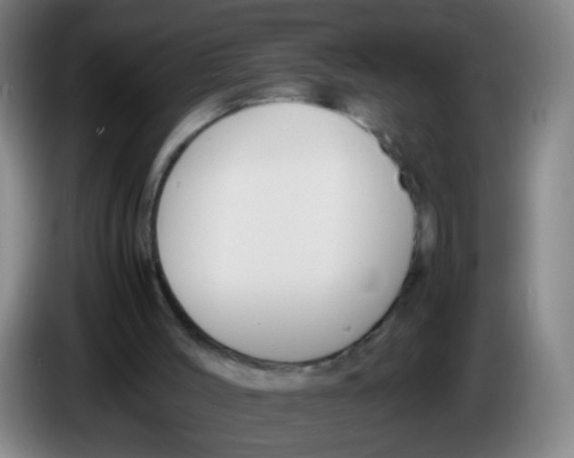 X0000086340004200704202110