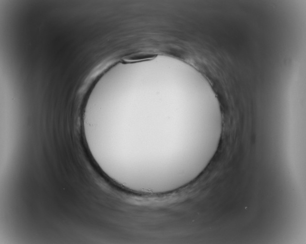 X0000086340005200704202110