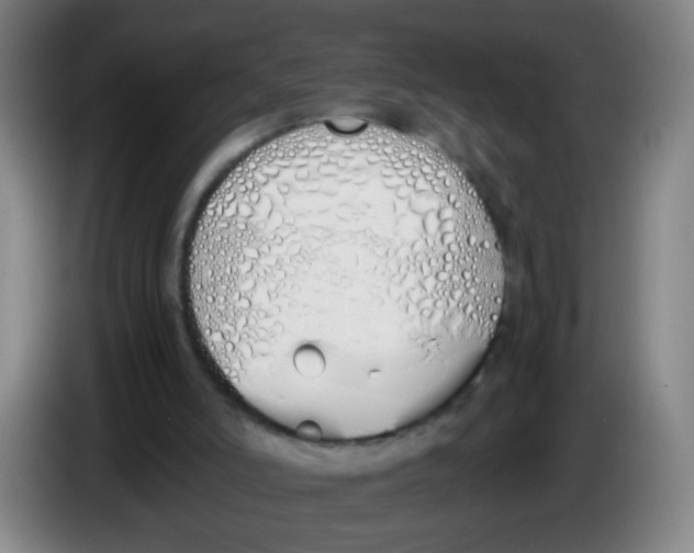X0000086340006200704202110