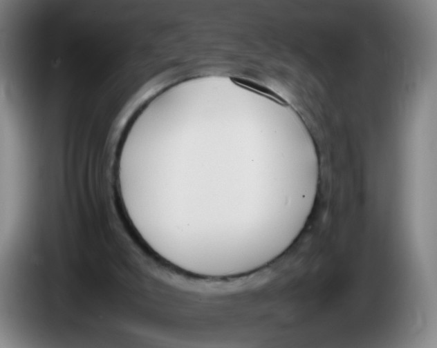 X0000086340007200704202110