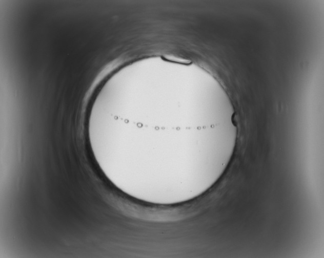 X0000086340008200704202110