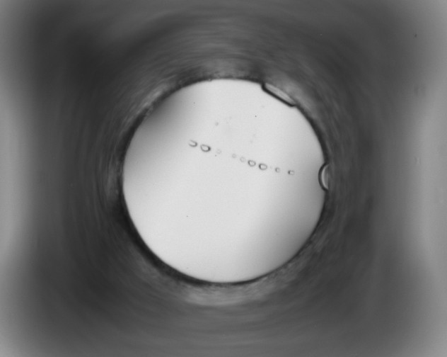 X0000086340009200704202110
