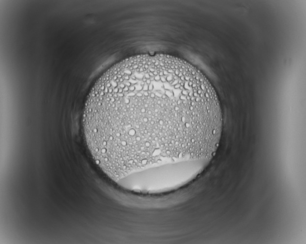 X0000086340010200704202110