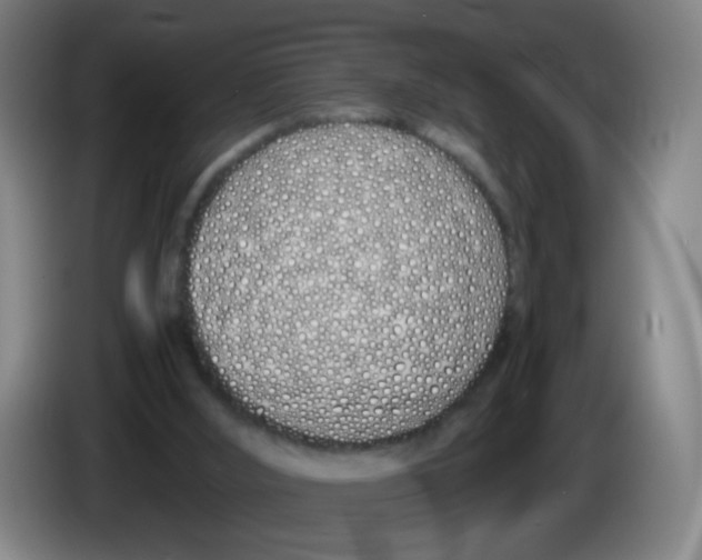 X0000086340012200704202110
