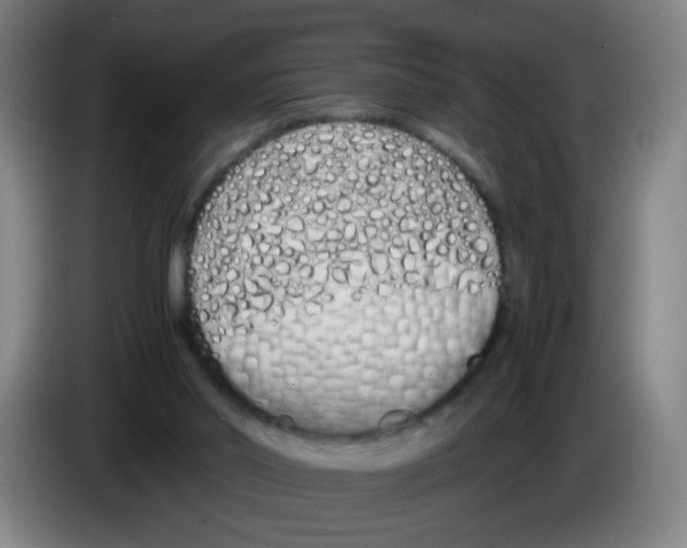 X0000086340014200704202110