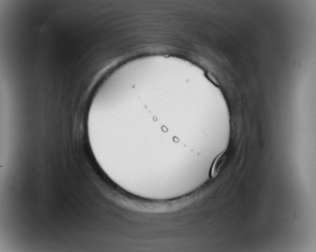 X0000086340015200704202110