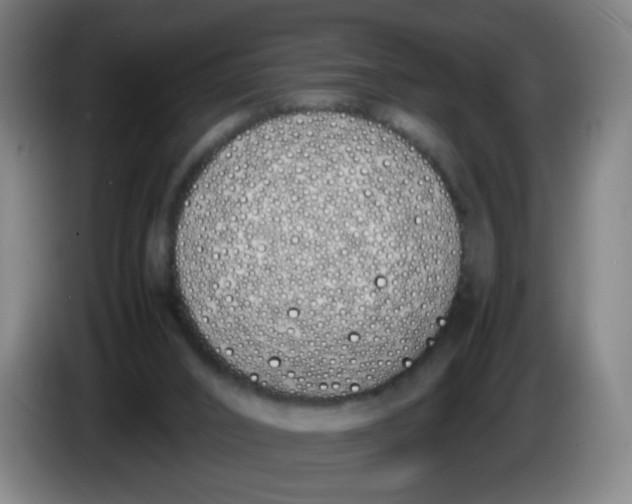 X0000086340016200704202110